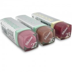 Rouge à lèvres Shine Edition - Bourjois - 23 Grenade In